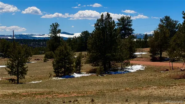 418 Scott DR, Florissant, CO 80816