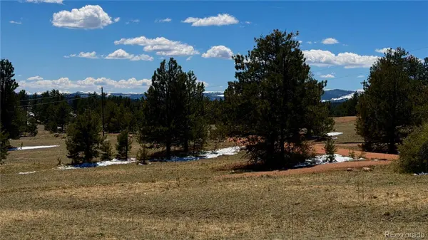 418 Scott DR, Florissant, CO 80816