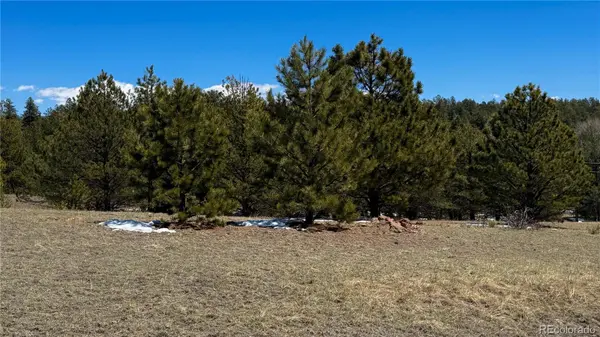 418 Scott DR, Florissant, CO 80816