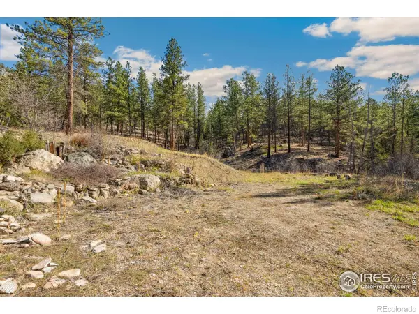 755 Fox Creek RD, Glen Haven, CO 80532