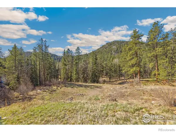 755 Fox Creek RD, Glen Haven, CO 80532