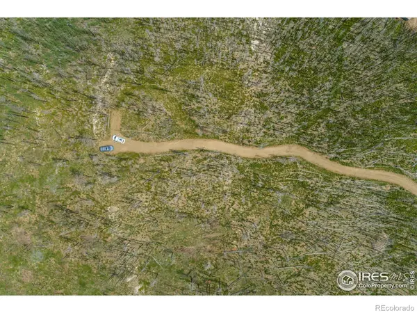 1025 Crystal Mountain RD, Bellvue, CO 80512