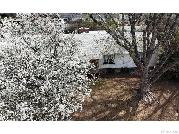 1304 Elm AVE, Loveland, CO 80537