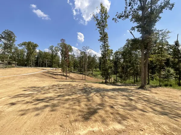 5 Rocky Top Lane, Erin, TN 37061