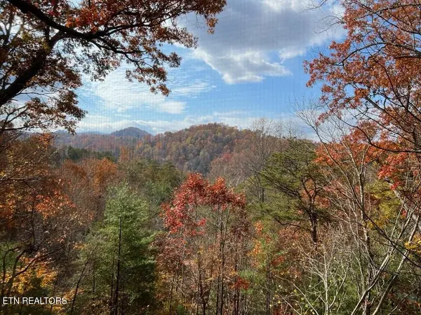 419 Sassafras Tr, Pigeon Forge, TN 37876