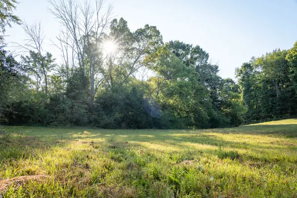 0 Choctaw Road, College Grove, TN 37046
