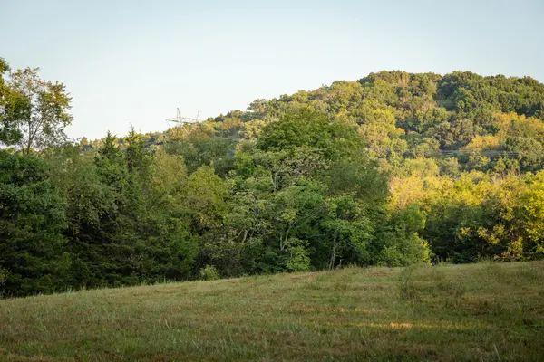 0 Choctaw Road, College Grove, TN 37046