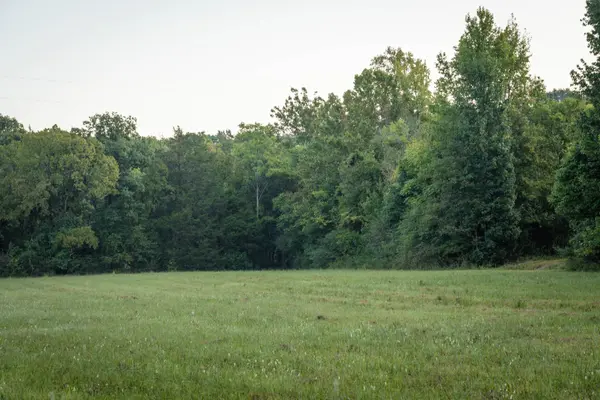 0 Choctaw Road, College Grove, TN 37046