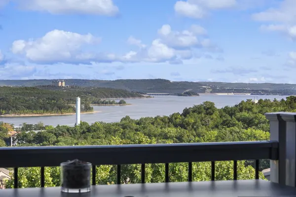 2 Treehouse Lane #9, Branson, MO 65616