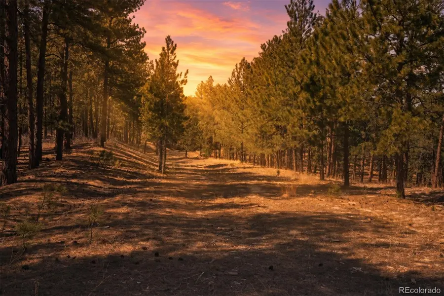 Wood Sorrel Rd, Larkspur, CO 80118