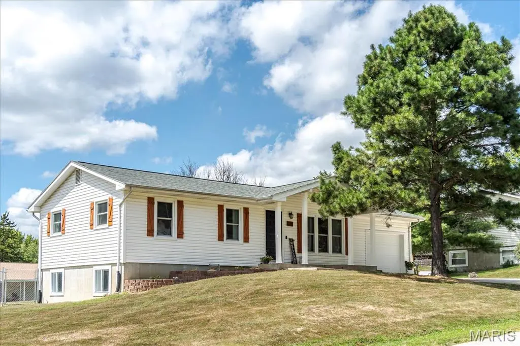 1295 Michelle DR, St Clair, MO 63077