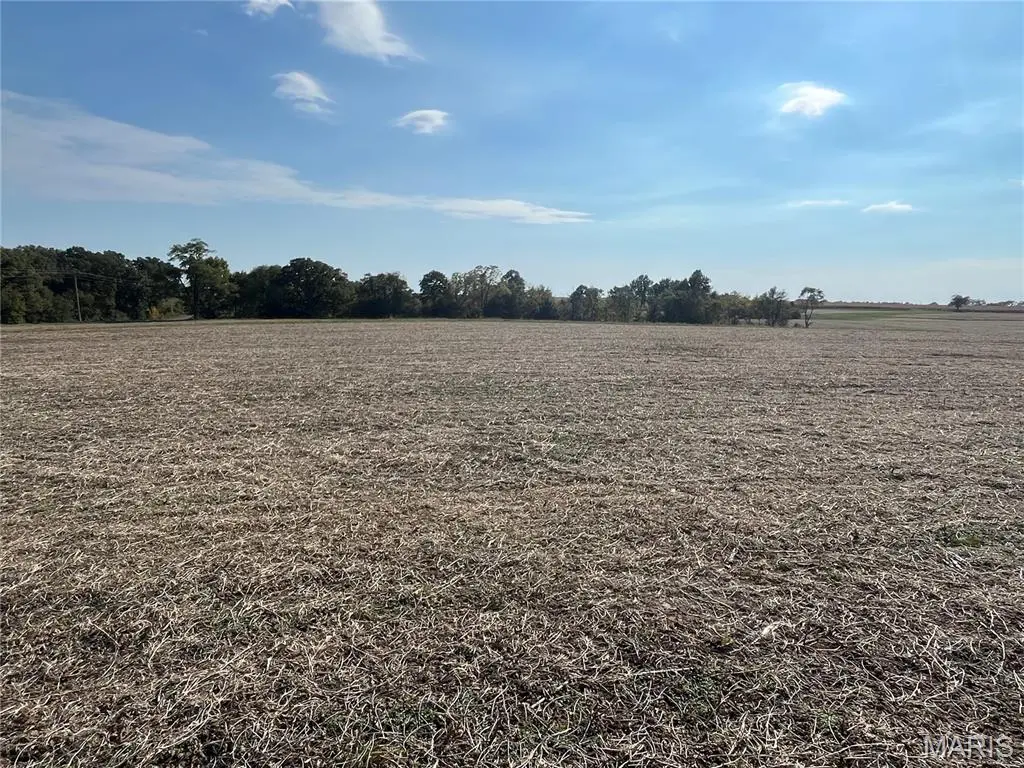0 Lot 1 Linda LN, Bowling Green, MO 63334