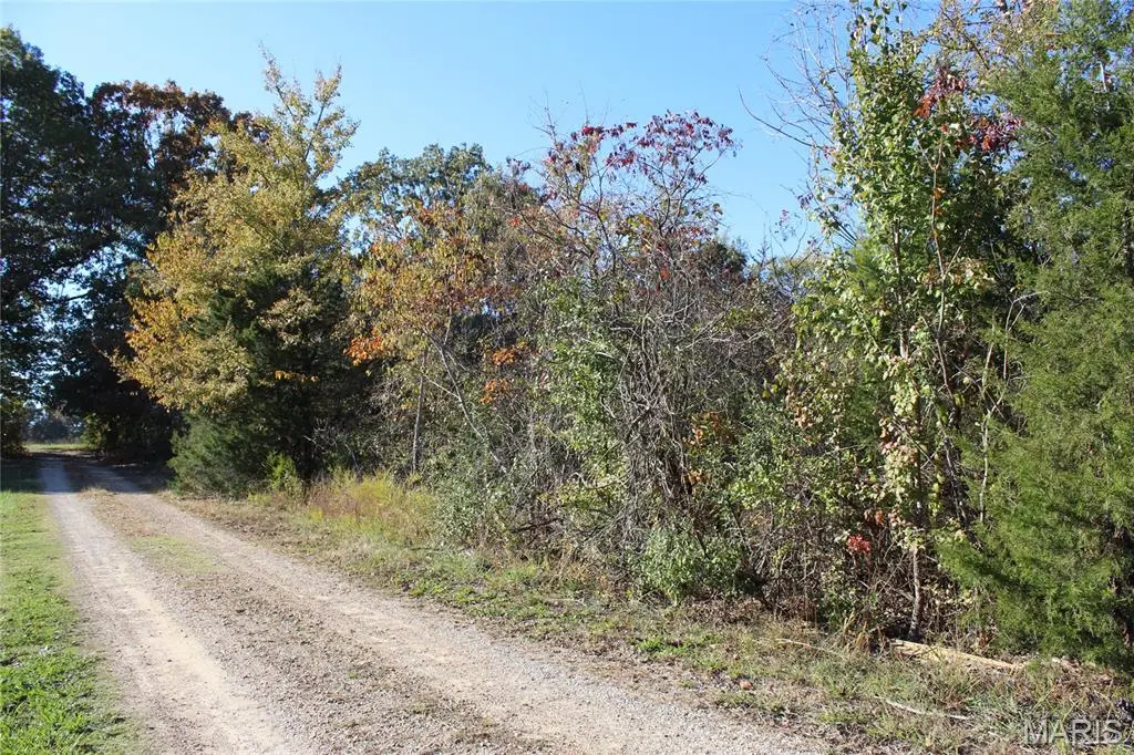 TBD Mulberry LN, Harviell, MO 63945