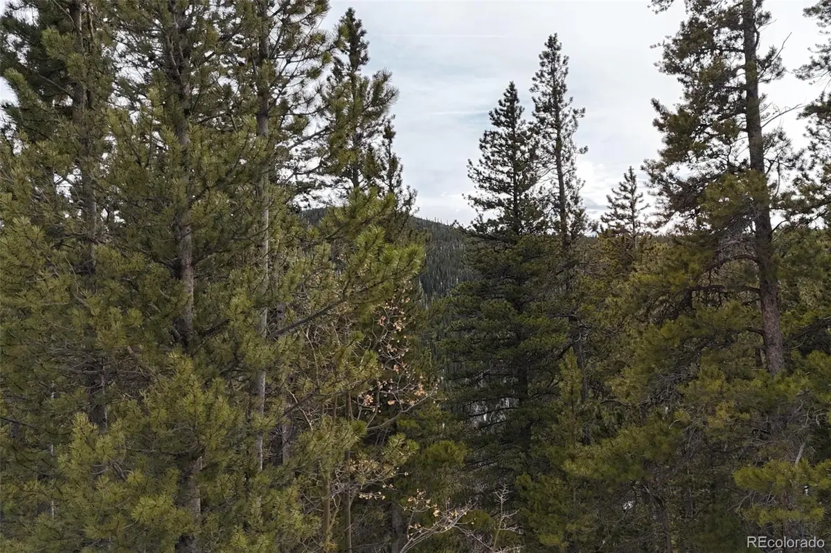 649 Vista RD, Idaho Springs, CO 80452