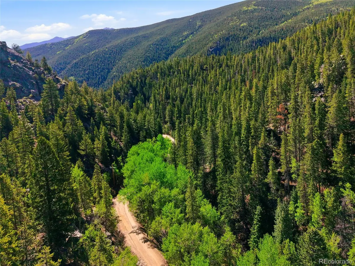 600 Ute Creek RD, Idaho Springs, CO 80452