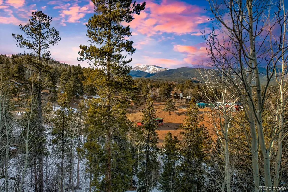 637 Rock RD, Bailey, CO 80421