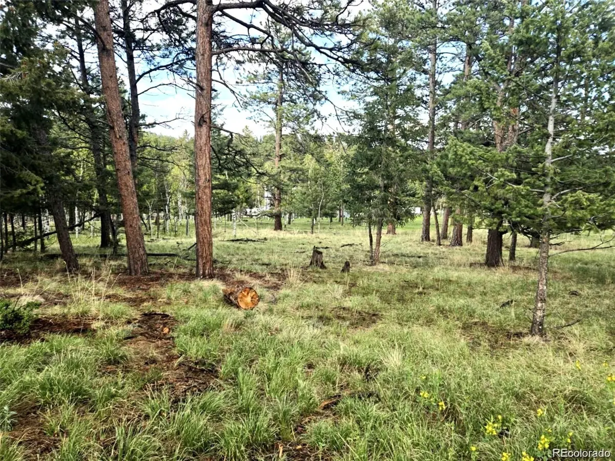 1845 Burland DR, Bailey, CO 80421