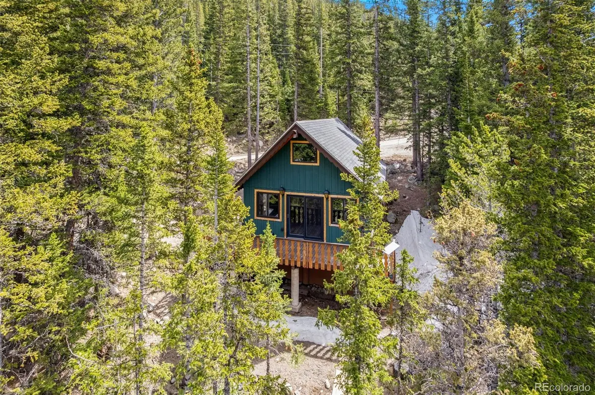 827 Mine RD, Idaho Springs, CO 80452