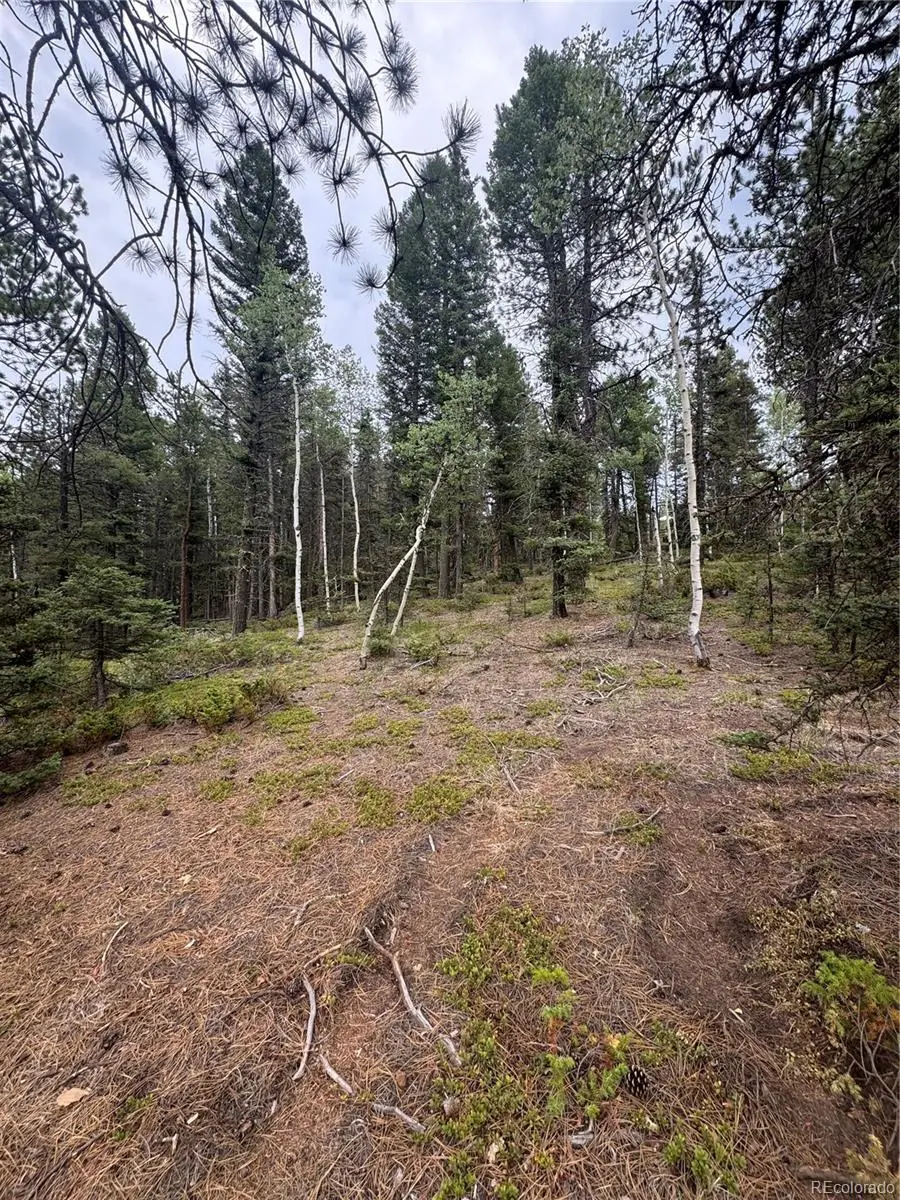 111 Elk Creek DR, Divide, CO 80814