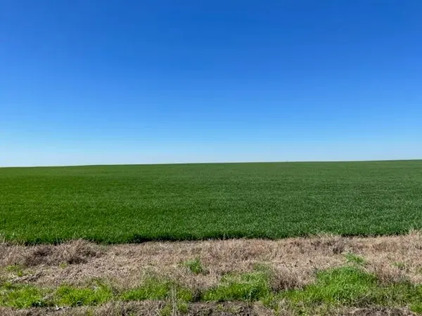 Tract 3 CR 355, Rosebud, TX 76519