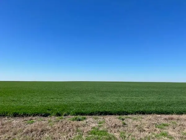 Tract 3 CR 355, Rosebud, TX 76519