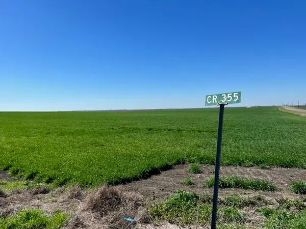 Tract 3 CR 355, Rosebud, TX 76519