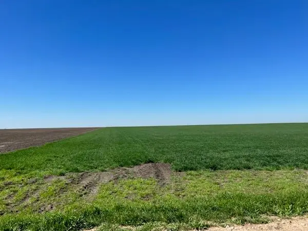 Tract 3 CR 355, Rosebud, TX 76519