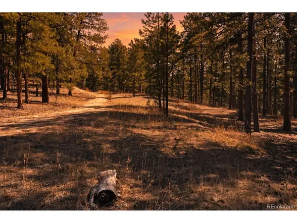 Wood Sorrel Rd, Larkspur, CO 80118