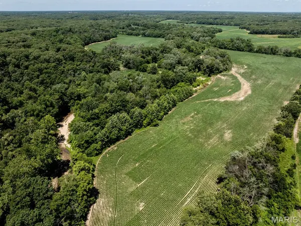 0 Highway W - Shelby County, Bethel, MO 63434