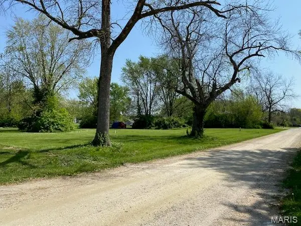 110 S Maple ST, Bellflower, MO 63333