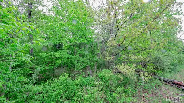 0 Mo-221, Ironton, MO 63650