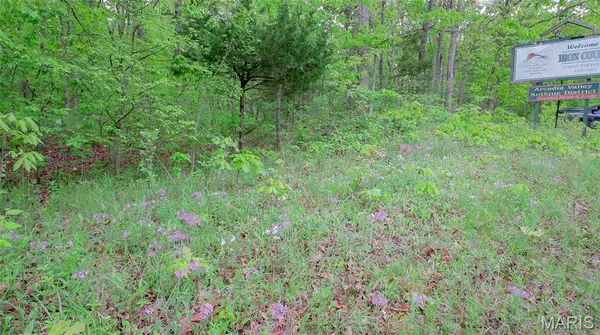 0 Mo-221, Ironton, MO 63650