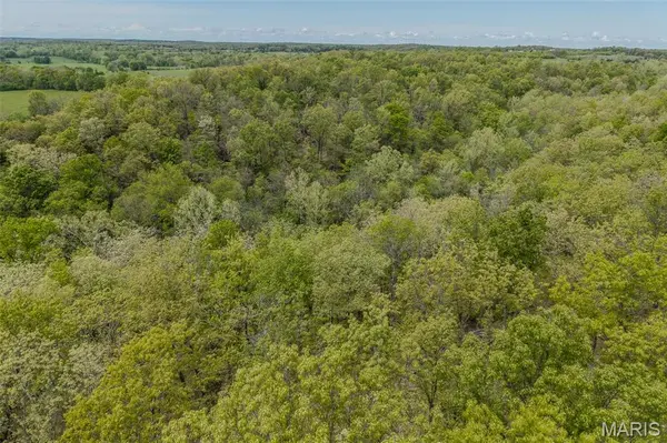 81 Indian Creek Loop, Buffalo, MO 65622