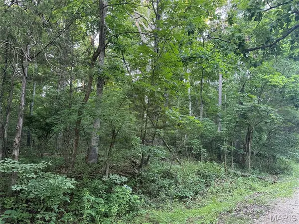 0 Rue Felice, Bonne Terre, MO 63628
