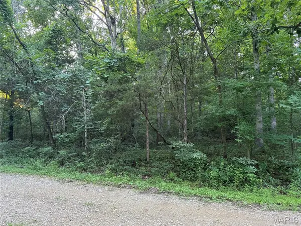 0 Rue Felice, Bonne Terre, MO 63628