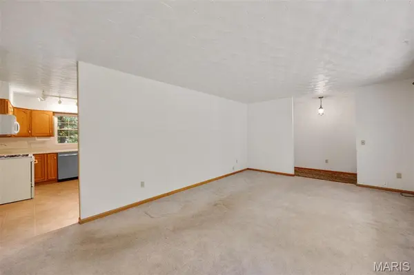 10399 Bust DR, Potosi, MO 63664