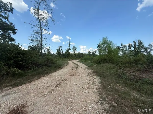 0007 County Rd 342, Centerville, MO 63633