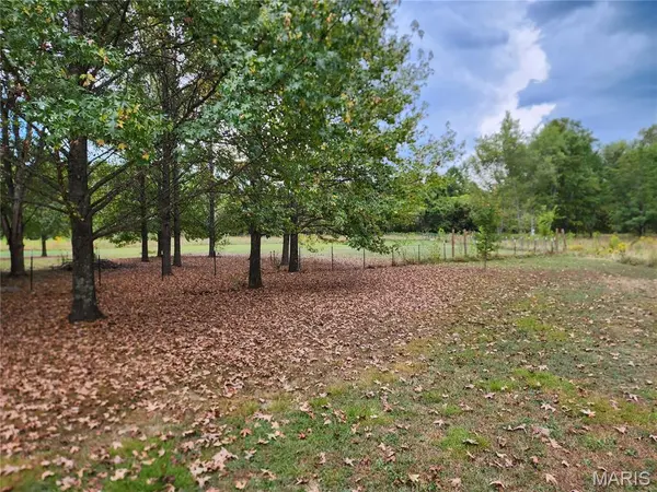 1690 Wayne Rt. HH, Piedmont, MO 63957