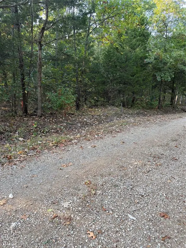 1917 Jim LN, Bonne Terre, MO 63628