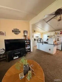 107 Plumlee W, La Plata, MO 63549