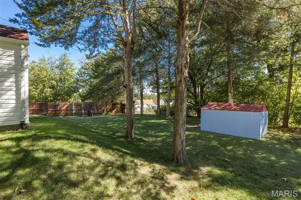 222 Hill ST, Bonne Terre, MO 63628