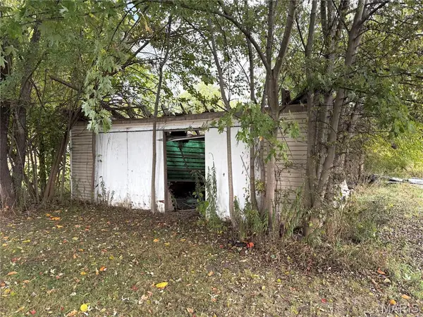 66 Coral Rd, Rockwood, IL 62280