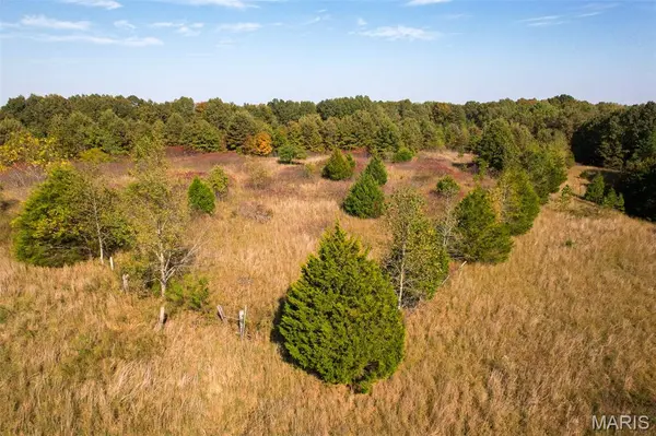 2300 CR 149, Alton, MO 65606