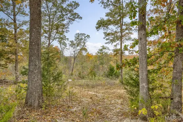 Lot 1 Wicket RD, Cadet, MO 63630