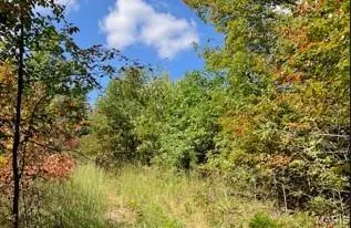 10 Church Road (CR 114),  Annapolis,  MO 63620