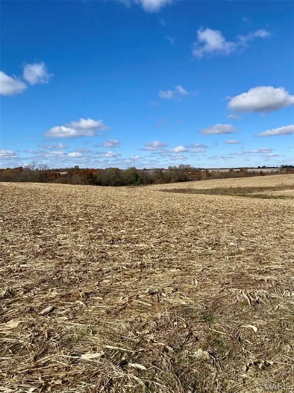 80+/- Acres County Rd 201, Memphis, MO 63555