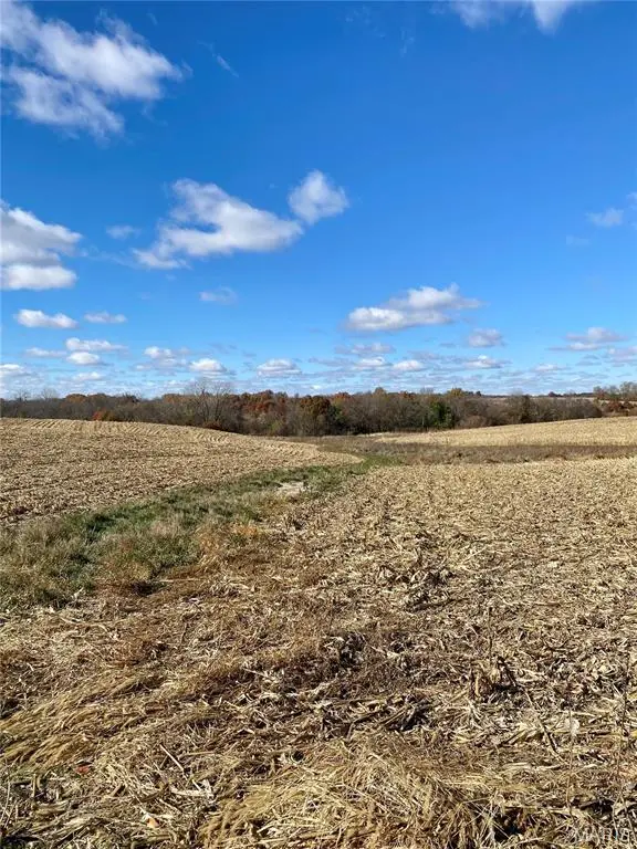80+/- Acres County Rd 201, Memphis, MO 63555