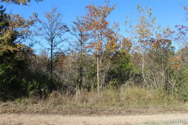 TBD Mulberry LN, Harviell, MO 63945
