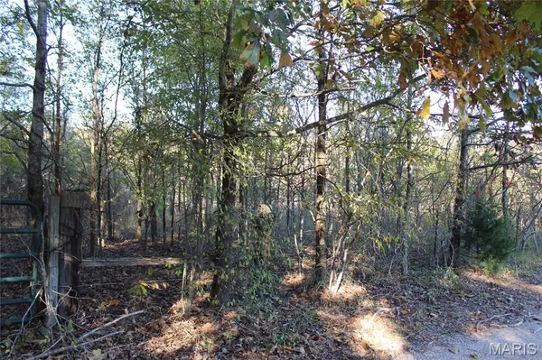 TBD Mulberry LN, Harviell, MO 63945