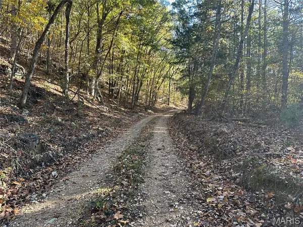 00 Off County Road 4, Belleview, MO 63623